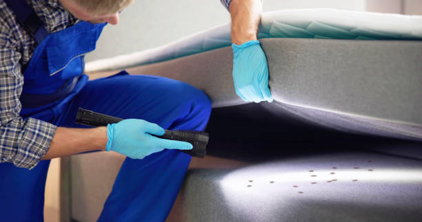 Best Commercial Pest Control Services  in Old Greenwich, CT