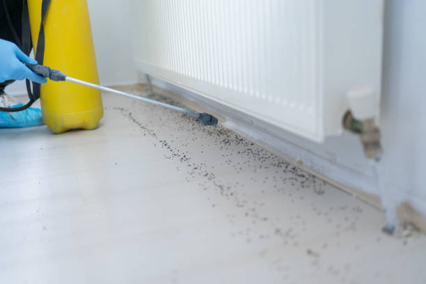Best Wildlife Control Services  in Old Greenwich, CT