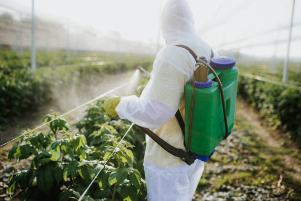 Best Pest Control Near Me  in Old Greenwich, CT
